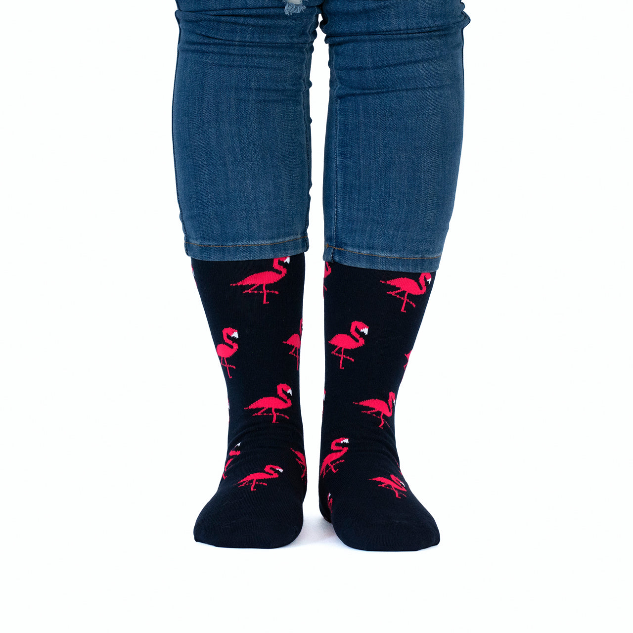 Flamingos