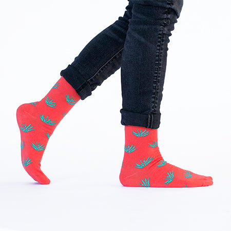 Paquete Va Por México