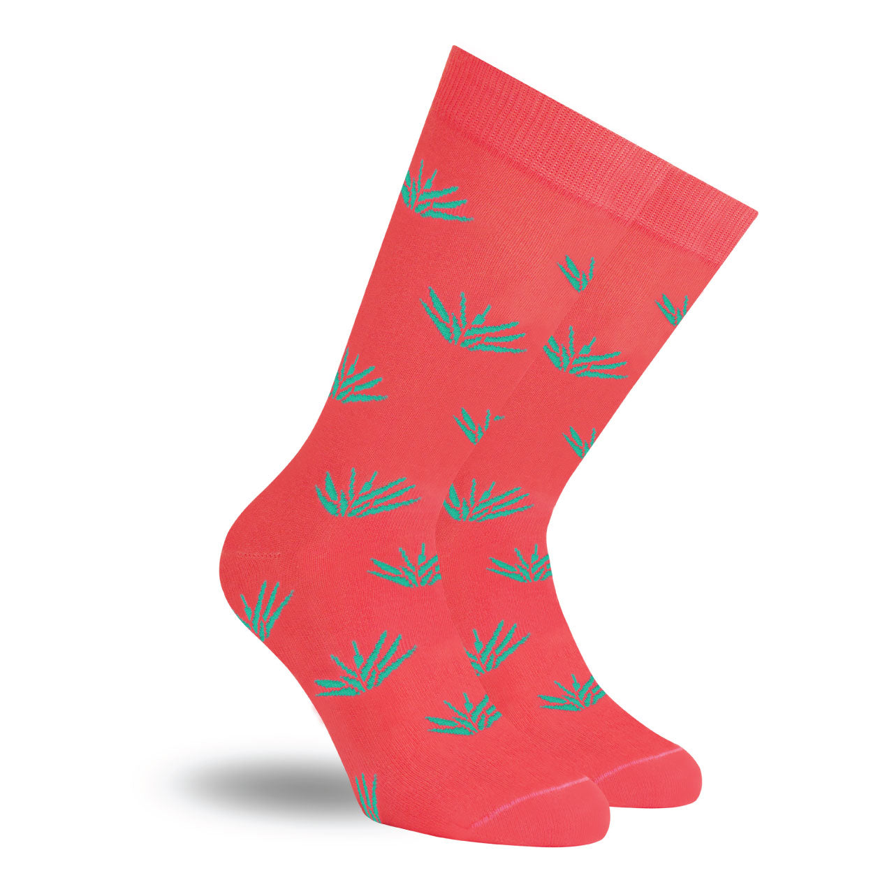 Paquete Va Por México