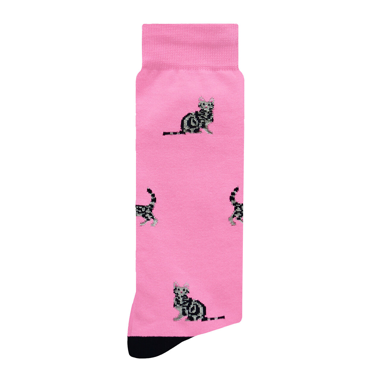 Gatos Rosa Calcetines Divertidos
